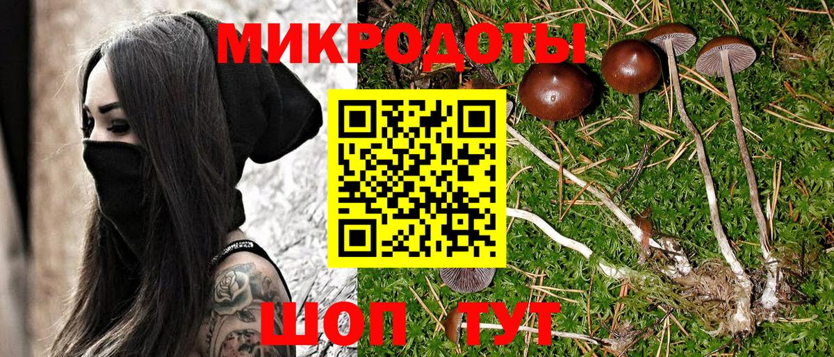 Псилоцибиновые грибы Psilocybine cubensis  Вход с VPN  Кувандык 